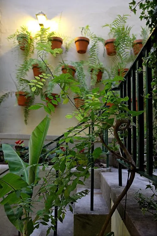 29 Madeira Hostel Funchal   Funchal (Madeira)