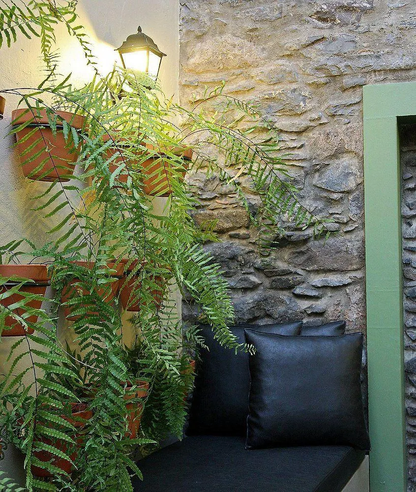 29 Madeira Hostel Funchal   Funchal (Madeira)